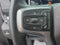 2024 Chevrolet Silverado 1500 RST Black Widow